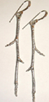 birch twig